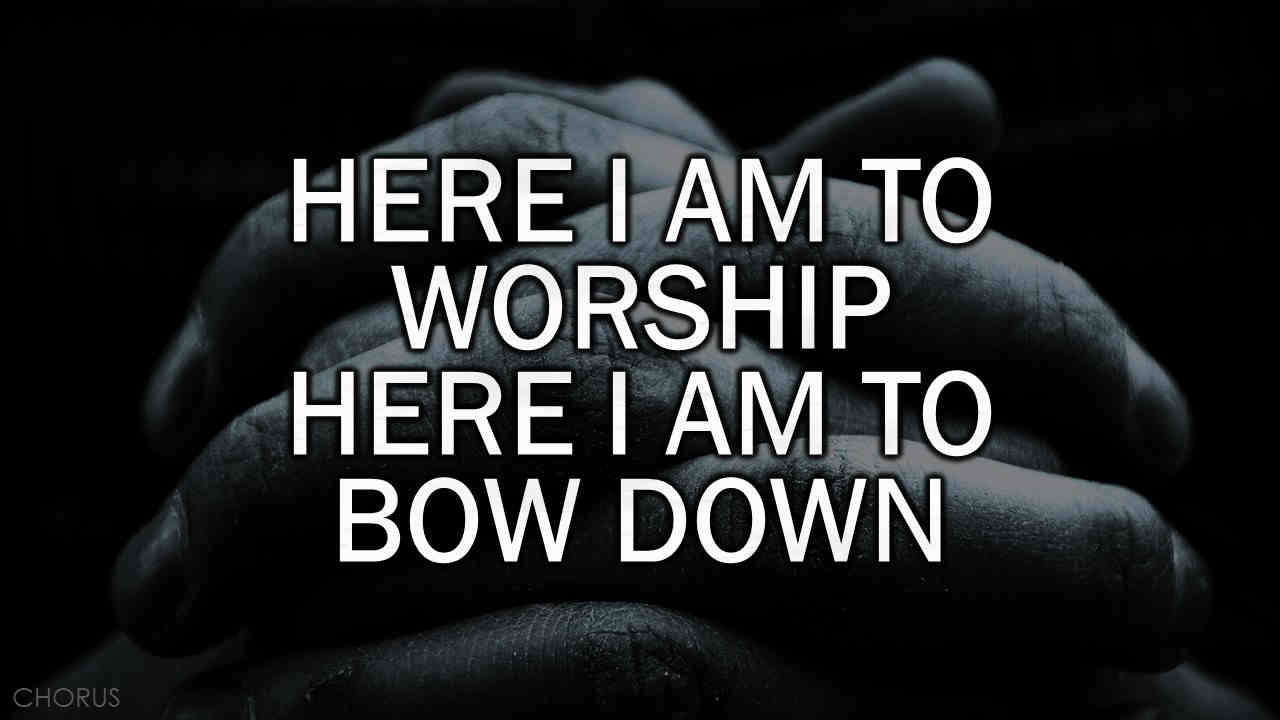 Here I Am to Worship 17 Declarations of Hope and Trust - Image 12