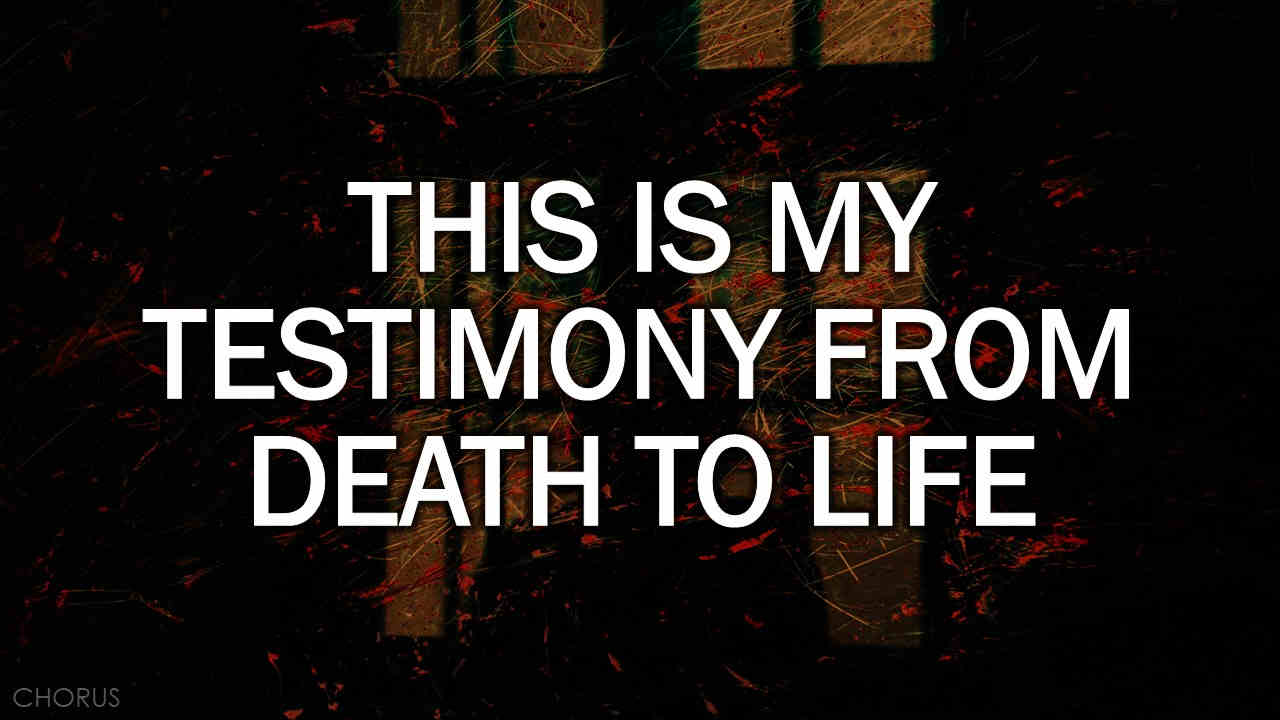 Testimony: I'm a New Creation I'm Forever Changed (12 Songs) - Image 2