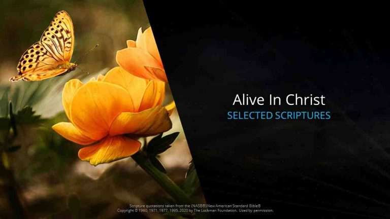 : Bible Verses on Being Alive in Christ lyrics free download link